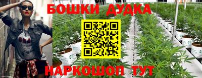 твердый Гусев