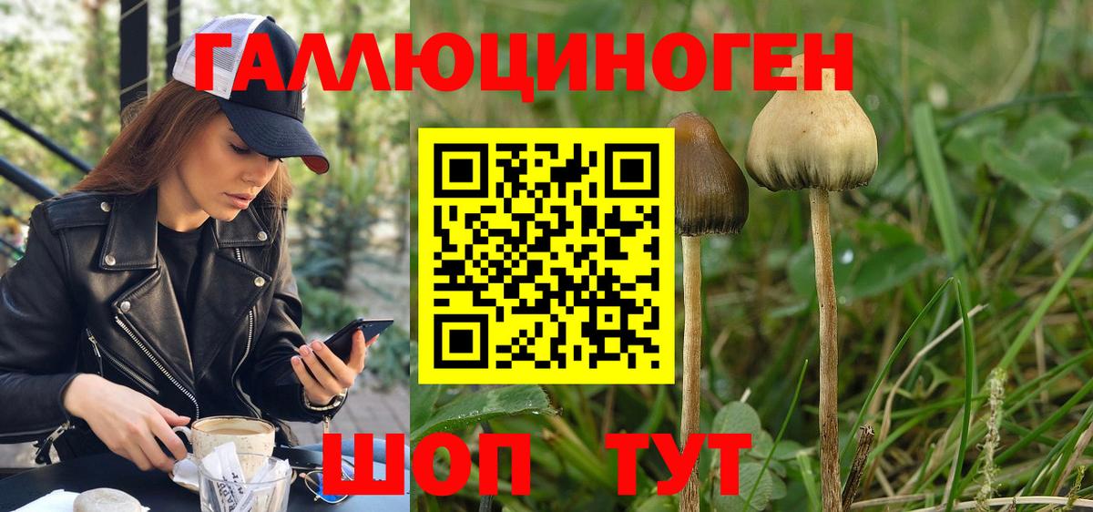 Миллерово  Псилоцибиновые грибы мухоморы  Вход с VPN 